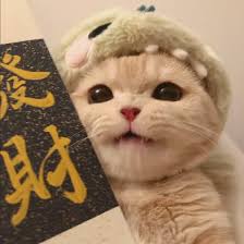 Ảnh đại diện người dùng Nguyễn Lan